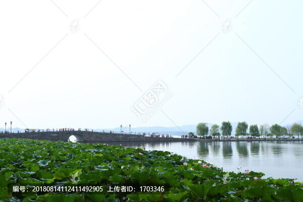 西湖斷橋