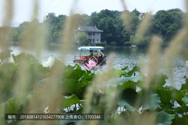 西湖游船