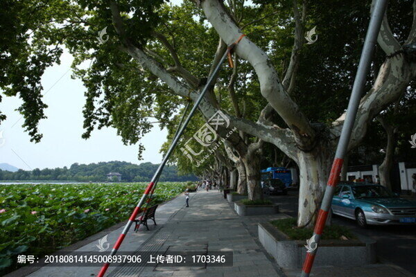 西湖漫步