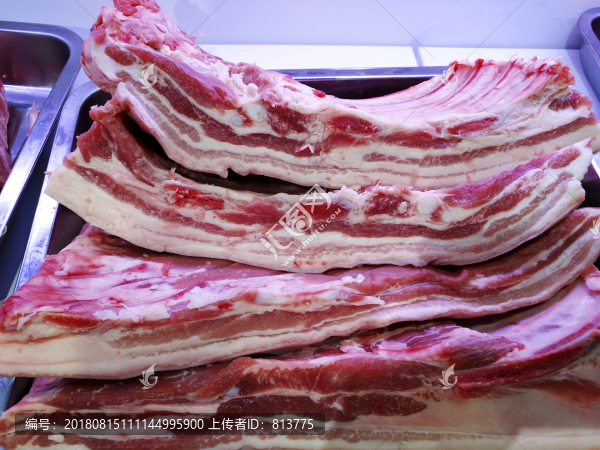 豬排肉