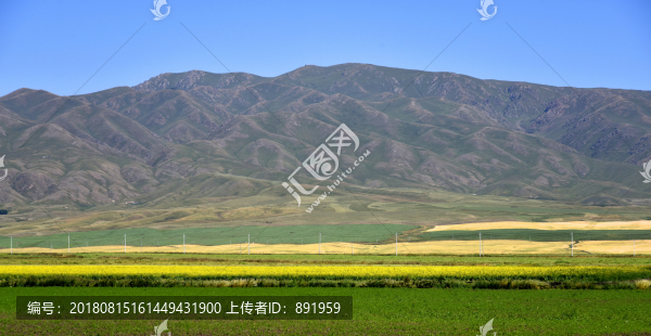 新疆伊犁草原風(fēng)光