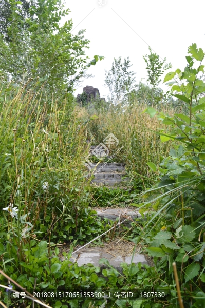 小路
