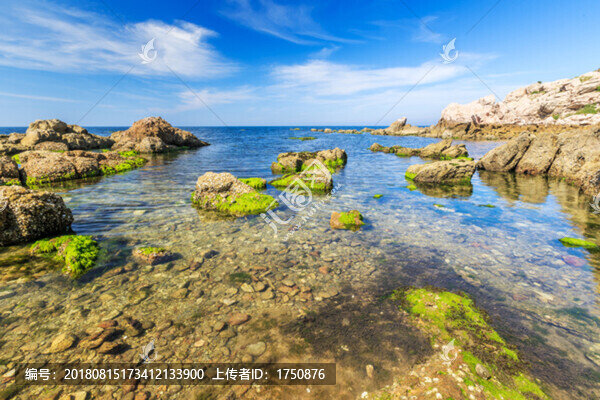 藍色大海