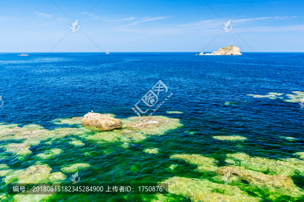 藍(lán)色大海