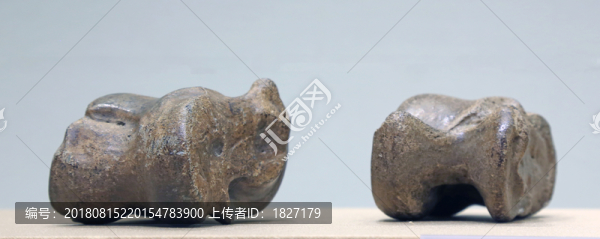 嘎拉哈