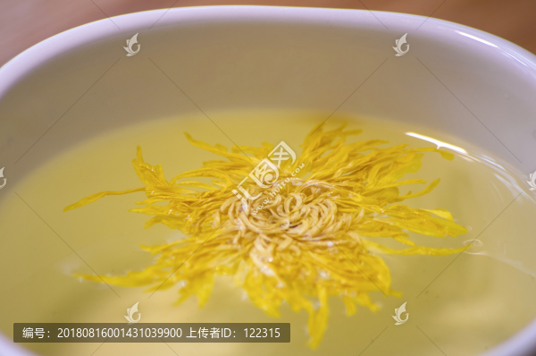 金絲皇菊