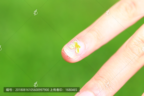 桂花