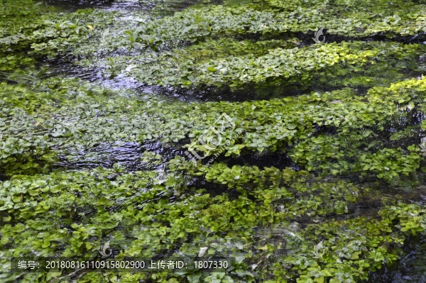 水磨河