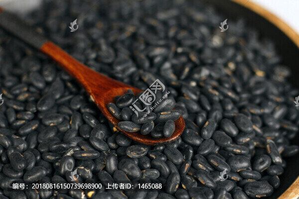 黑豆農(nóng)家黑豆