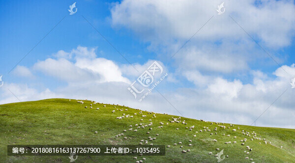 高原風(fēng)光