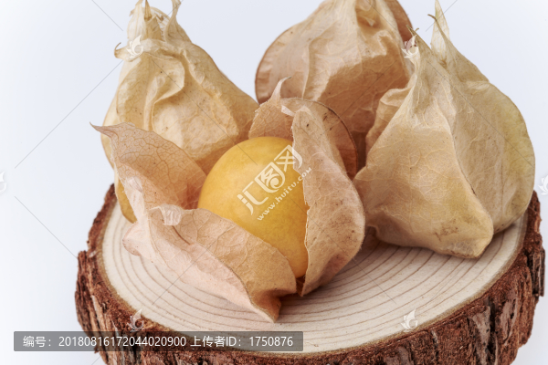 燈籠果