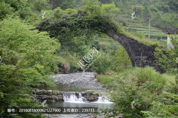 古橋