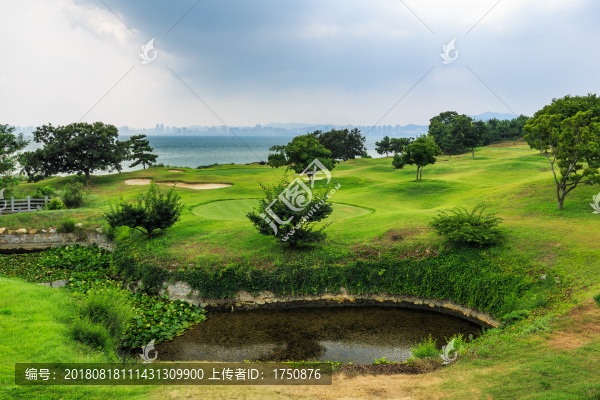 劉公島上的藍(lán)天白云綠樹草坪