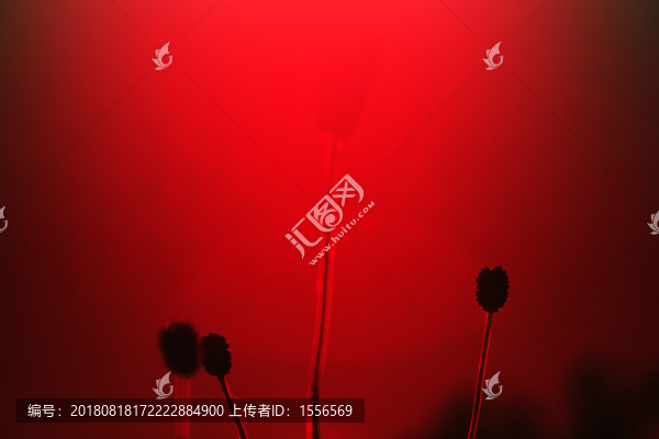 花卉藝術(shù)