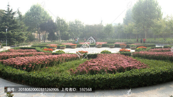 花卉背景