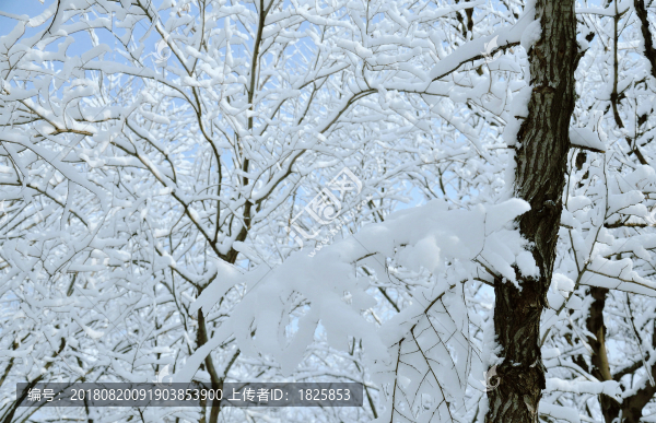 本溪望溪公園