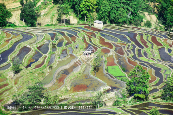 梯田