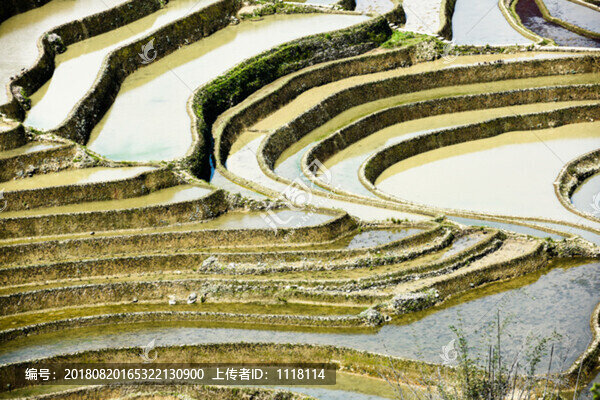梯田