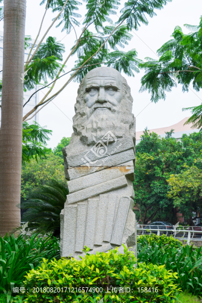達(dá)爾文雕像