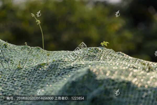 逆光防塵網(wǎng)