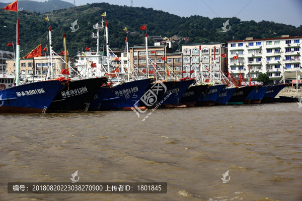 象山石浦漁港海面