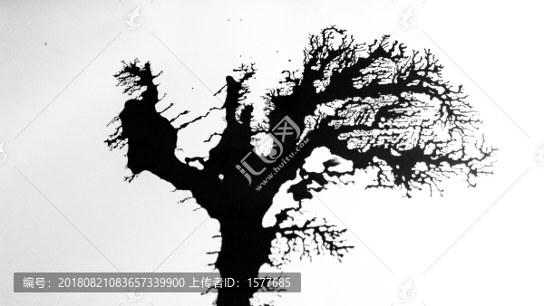 枯樹