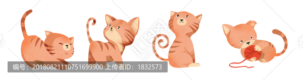 小貓