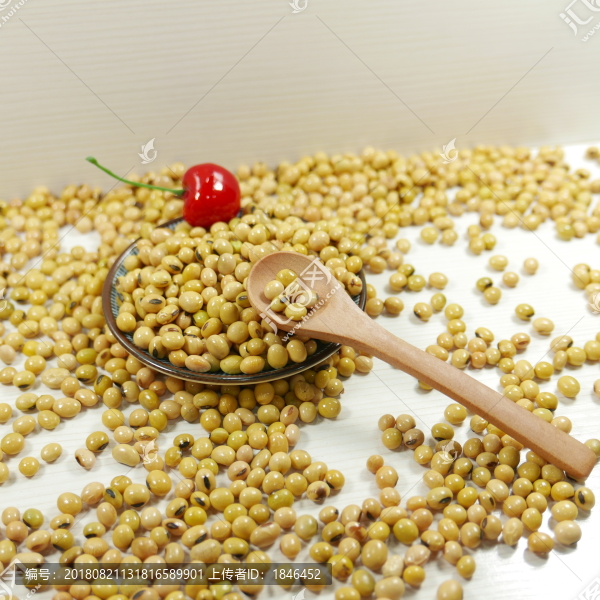 黃豆黃大豆