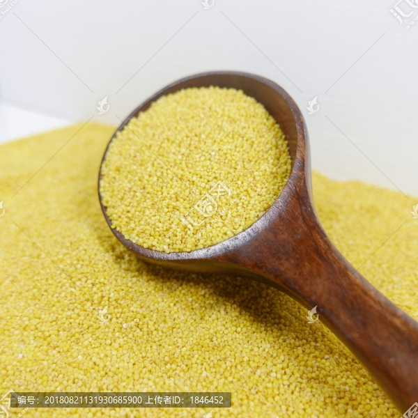 黃小米小黃米小米