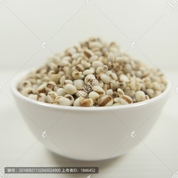 薏仁米薏米