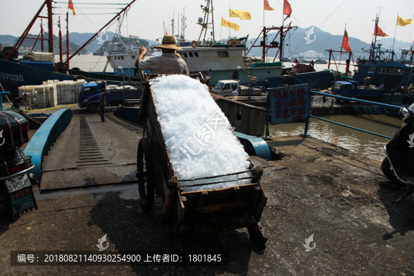 象山石浦漁港漁船裝載冷藏冰塊