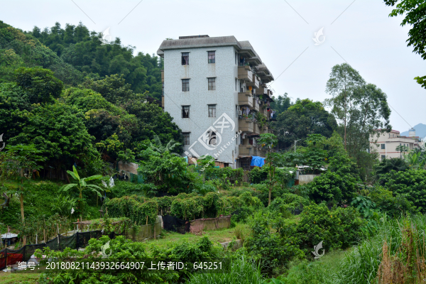 山居樓房