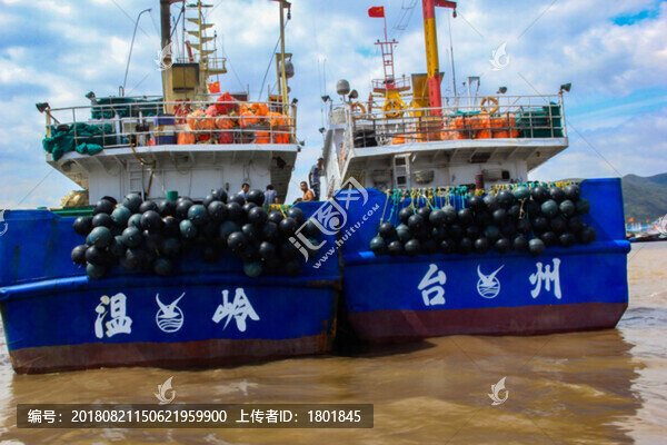 象山石浦漁港漁船