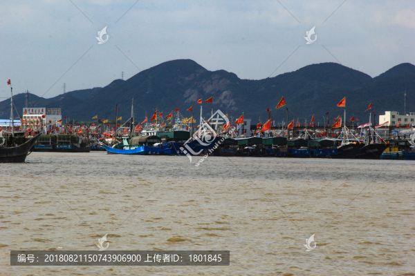 象山石浦漁港漁船