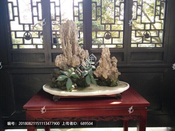 盆景盆栽