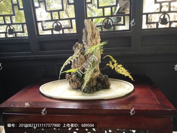 盆景盆栽