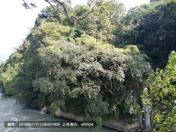 都江堰風(fēng)景