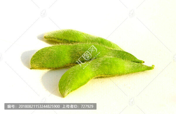毛豆