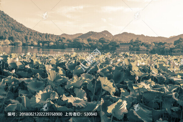 杭州西湖懷舊老照片
