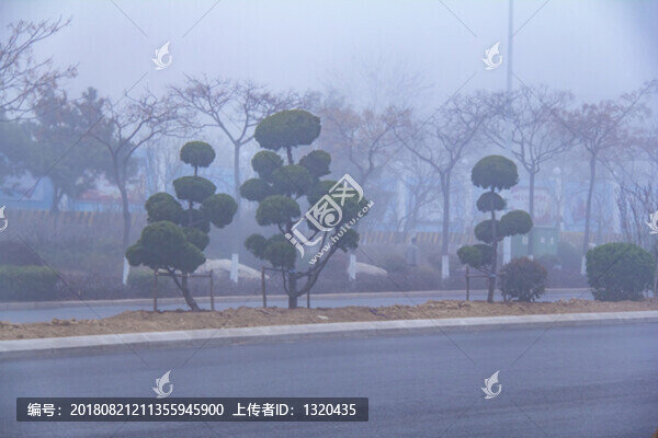 城市綠化