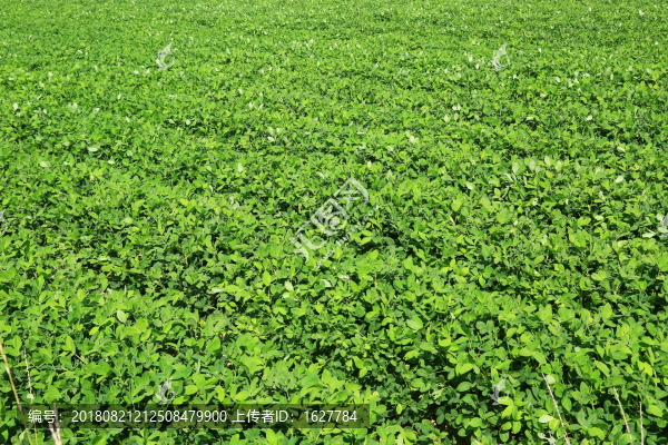 北方田園風(fēng)光