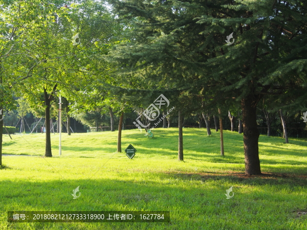 草地與樹林