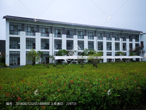 辦公樓綠化