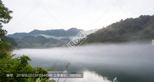 霧漫小東江