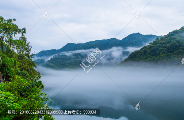 霧