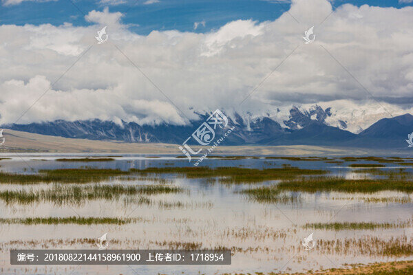 西藏日喀雪山冰川湖泊飛鳥