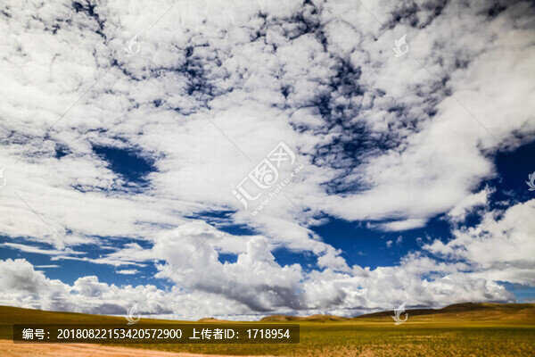 西藏阿里藍天白云神山圣湖藏羚羊