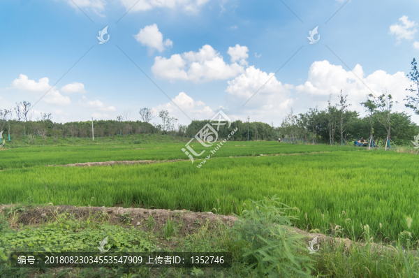農(nóng)田風(fēng)光