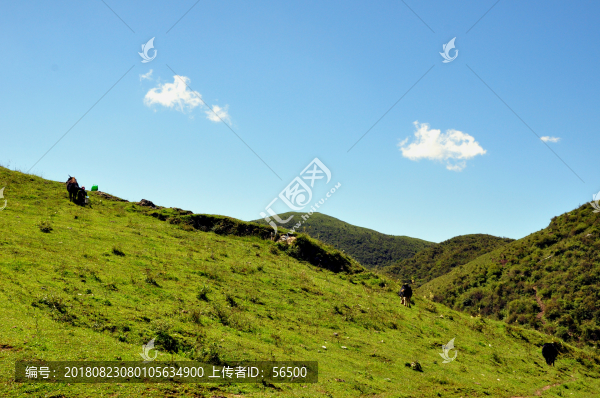 草原風(fēng)光