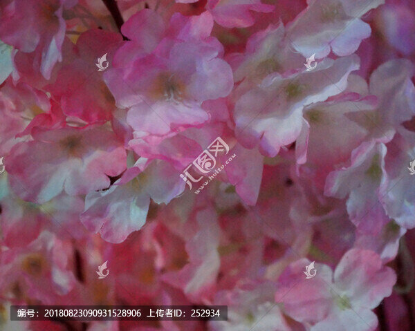 婚慶現(xiàn)場的花
